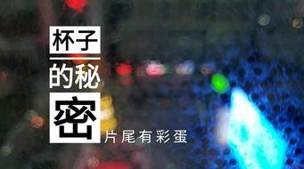 无锡饭店爆料视频最新版,惊人内幕曝光！